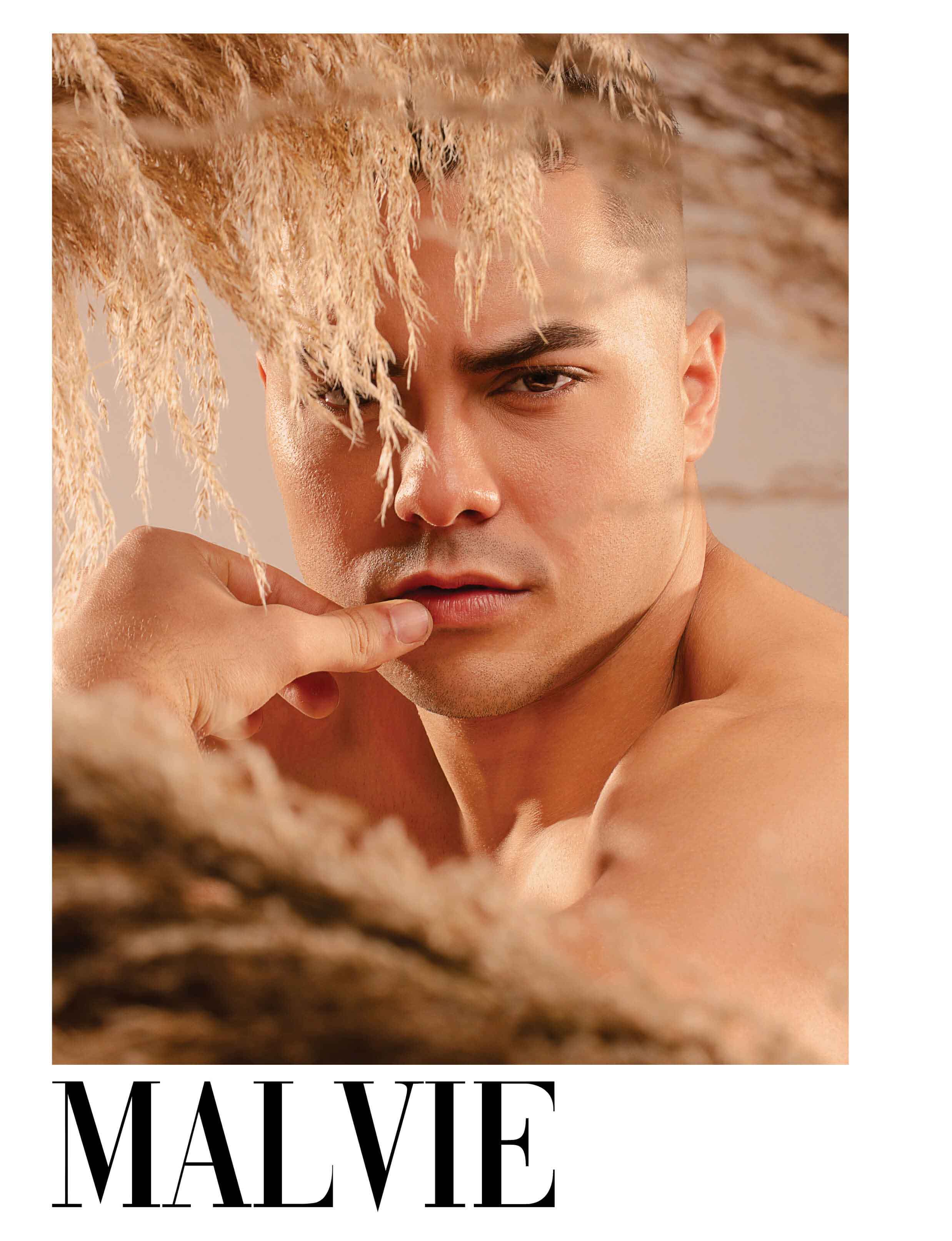 Portada 04: beauty pop frontal